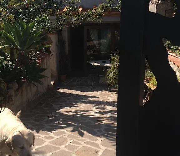 Chorisia ベッド・アンド・ブレックファスト