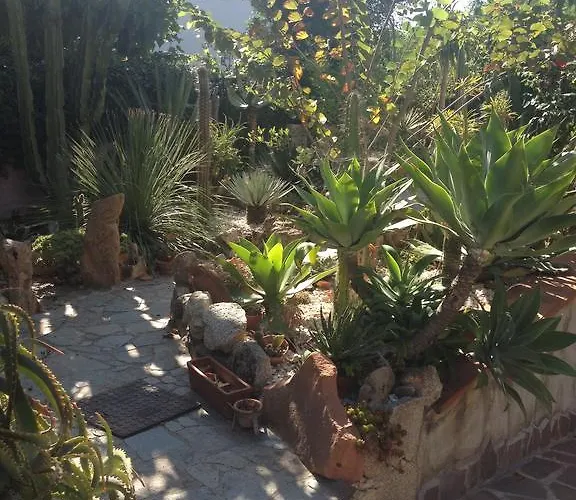 ベッド・アンド・ブレックファスト Chorisia