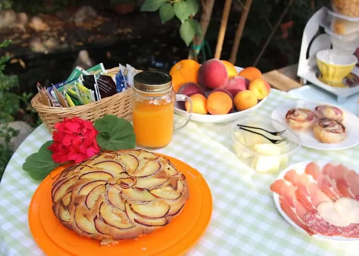 Chorisia サン・テオドーロ