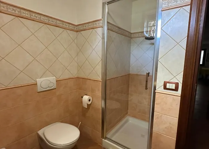 Chorisia サン・テオドーロ