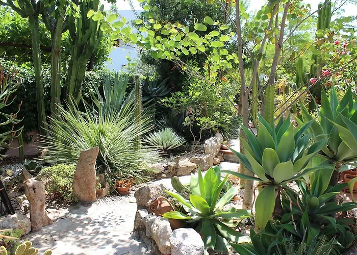 ベッド・アンド・ブレックファスト Chorisia