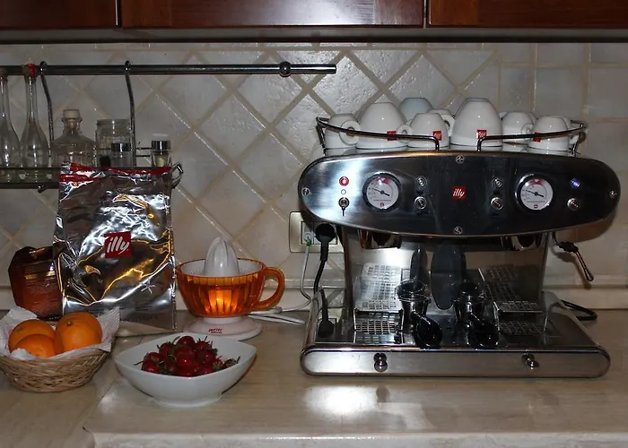 Chorisia サン・テオドーロ