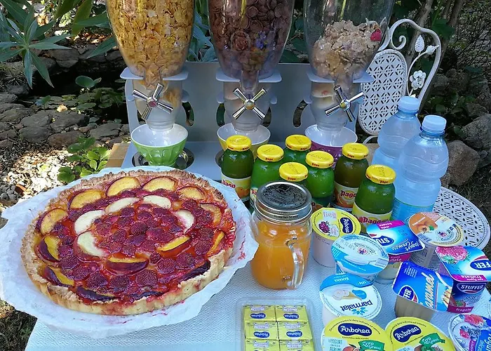 Chorisia サン・テオドーロ