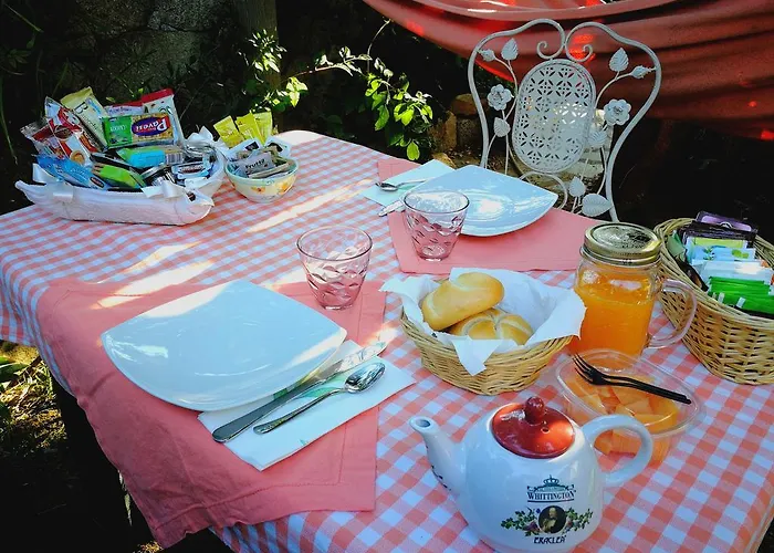 Chorisia サン・テオドーロ