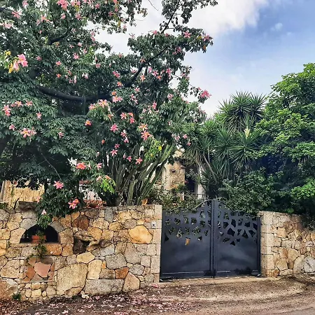 Chorisia Bed & Breakfast *