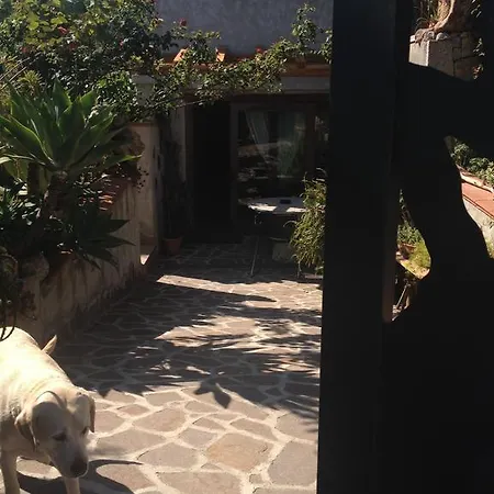 Chorisia Bed & Breakfast