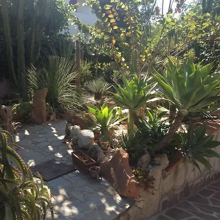 Bed & Breakfast Chorisia