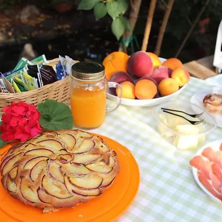 Chorisia San Teodoro (Sardinia)