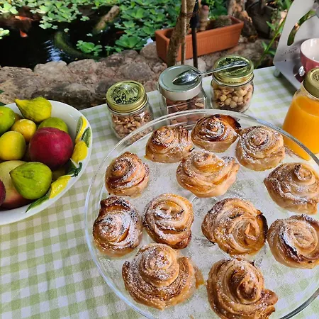 Bed & Breakfast Chorisia