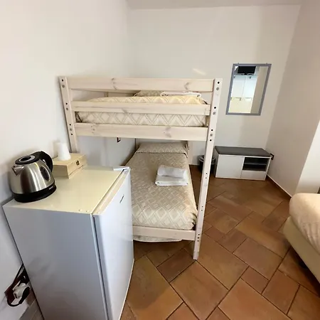 Chorisia 圣特奥多罗