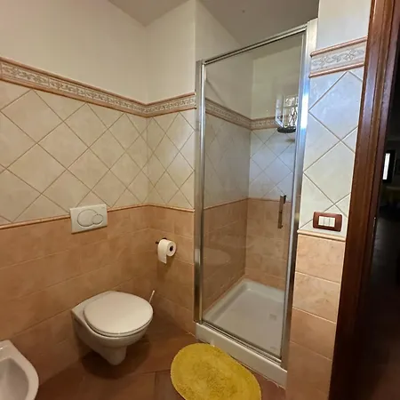 Chorisia San Teodoro (Sardinia)