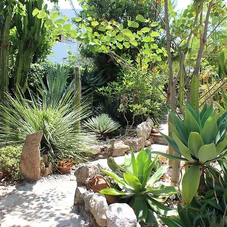 住宿加早餐酒店 Chorisia