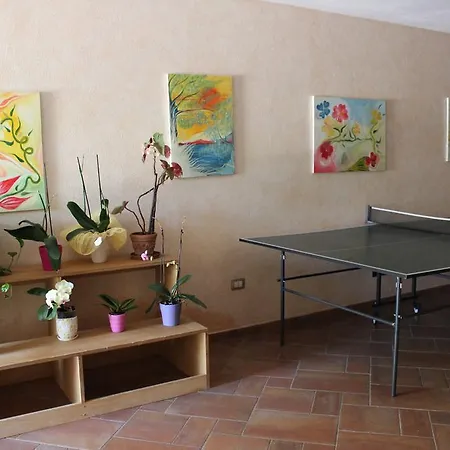 Chorisia San Teodoro (Sardinia)