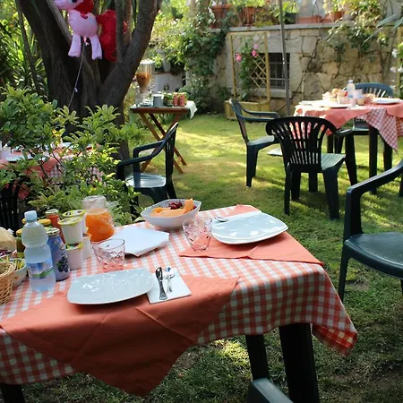 住宿加早餐酒店 Chorisia