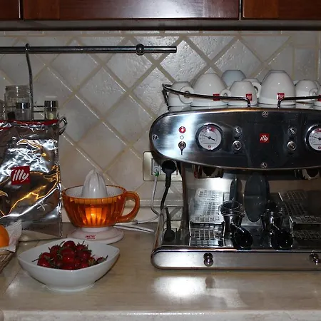 Chorisia 圣特奥多罗