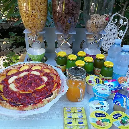 Chorisia 圣特奥多罗