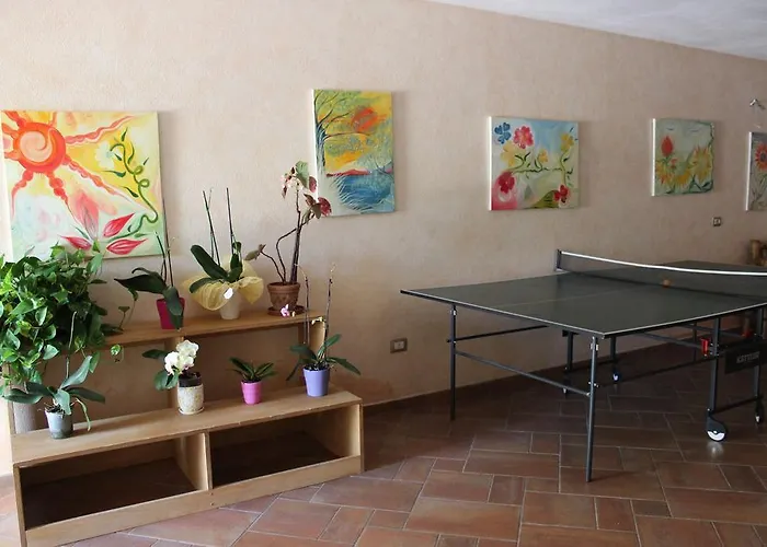 Chorisia San Teodoro (Sardinia)